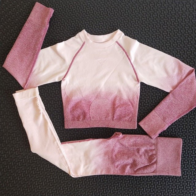 2 piece gym set women ombre seamless workout set yoga