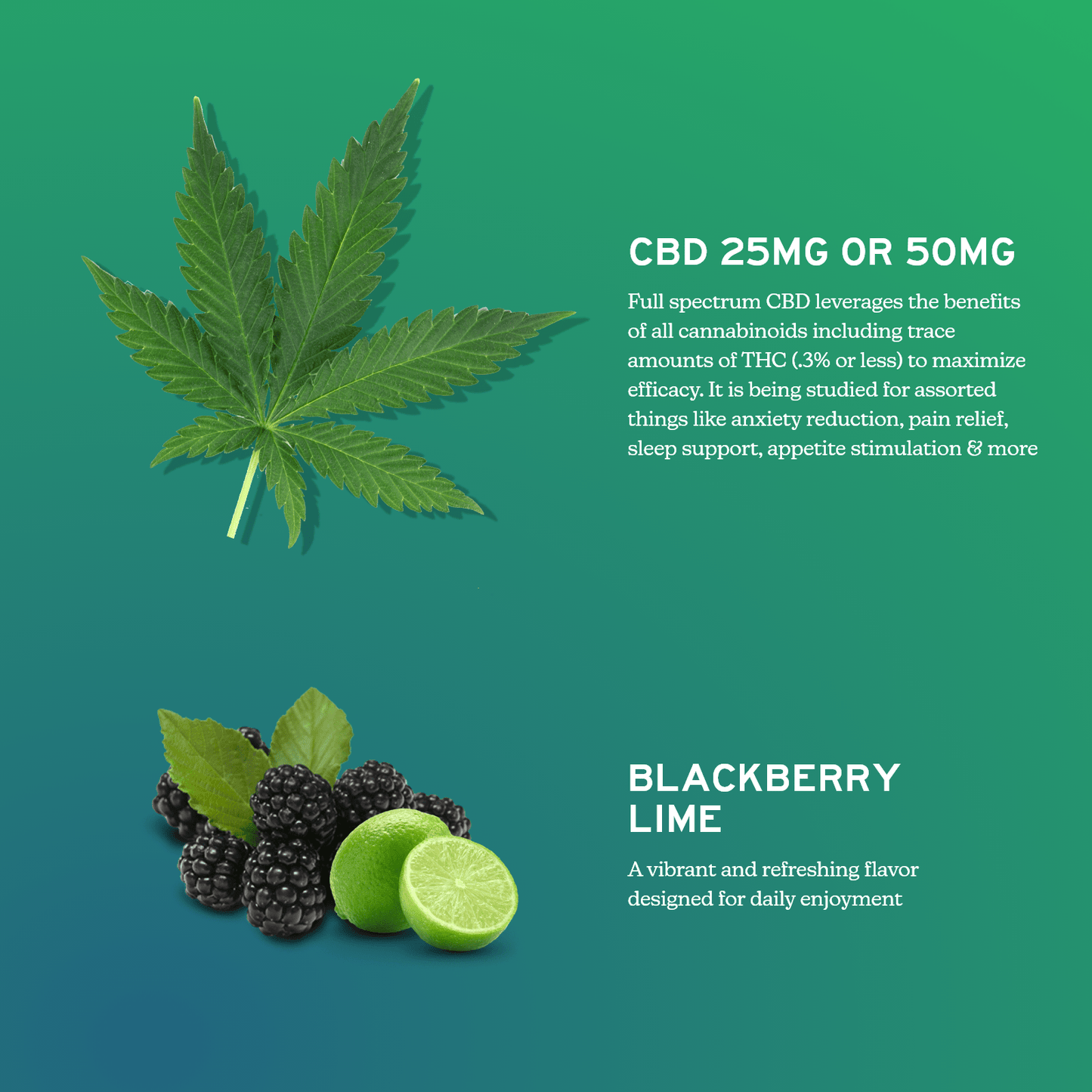 CBD Gummies for Daily Support - Full-Spectrum