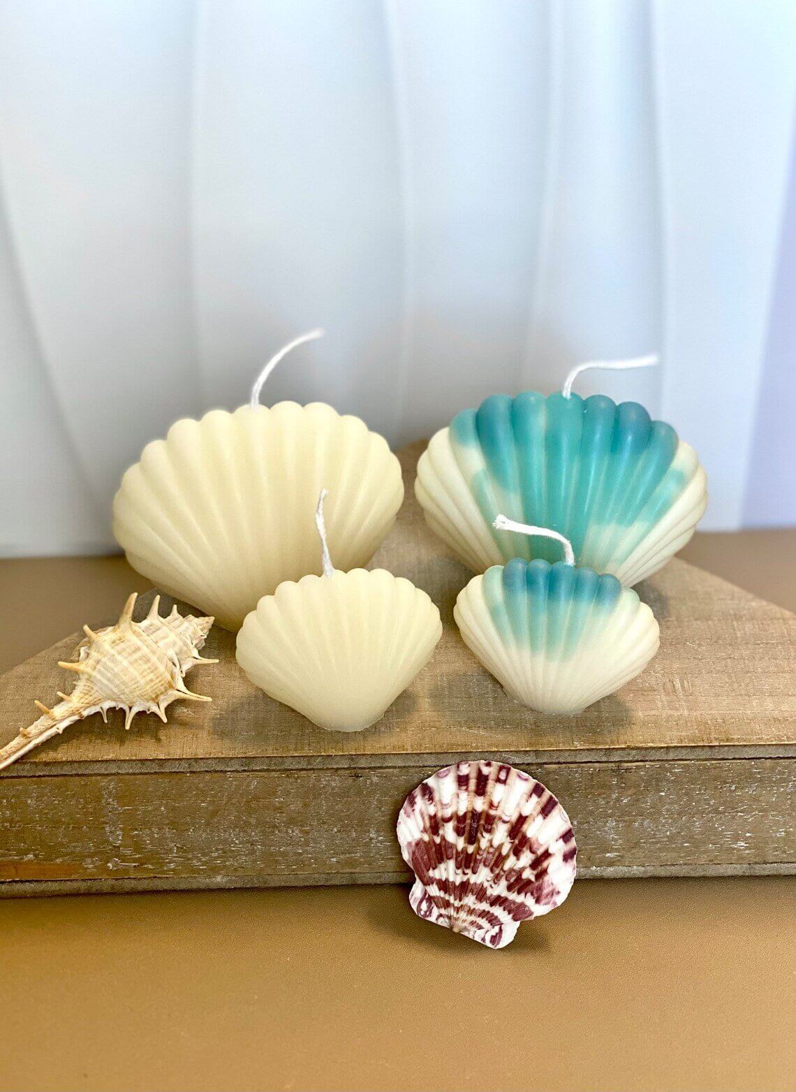 Handmade Soy Wax Shell Candles - Unique Eco-Friendly Decor with Soy Wax Shell Handmade Candles