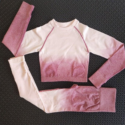 2 piece gym set women ombre seamless workout set yoga