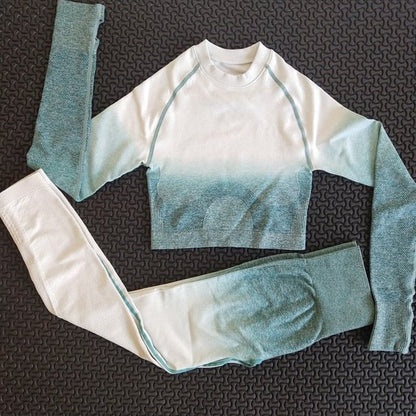 2 piece gym set women ombre seamless workout set yoga