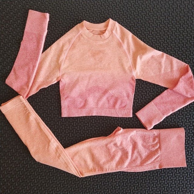 2 piece gym set women ombre seamless workout set yoga