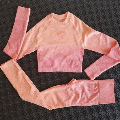 2 piece gym set women ombre seamless workout set yoga