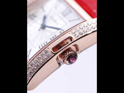 RUIMAS Fashion Automatic Mechanical Watch for Women Luxury Leather Ladies Wristwatch Waterproof Female Clock Reloj Mujer 6773