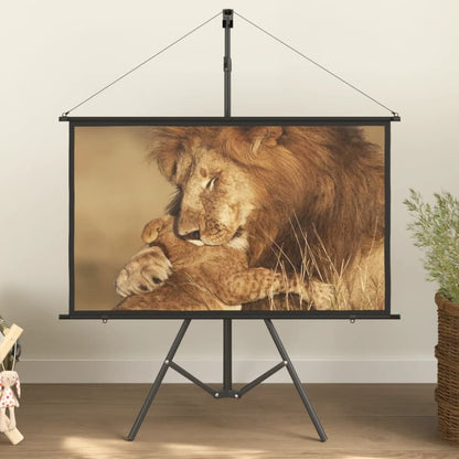 vidaXL projection screen Home Theater Screen Pull-down Projector Screen 4:3