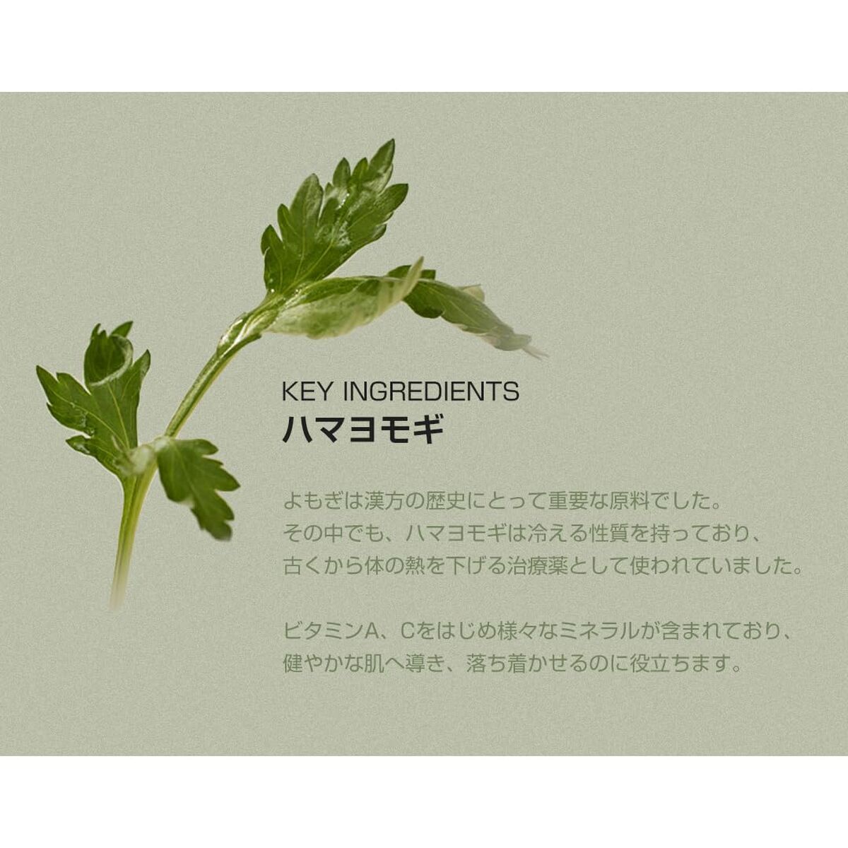 Facial Sun Cream Beauty of Joseon MATTE SUN Spf 50+