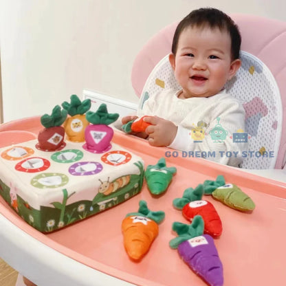 Montessori Baby Toy
