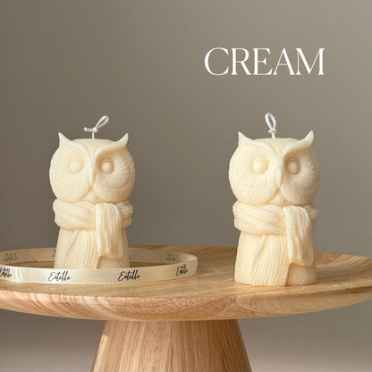 Cute Owl Candle
