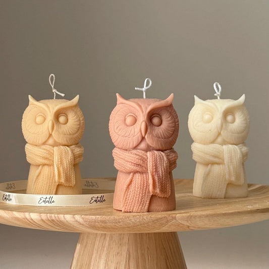 Cute Owl Candle