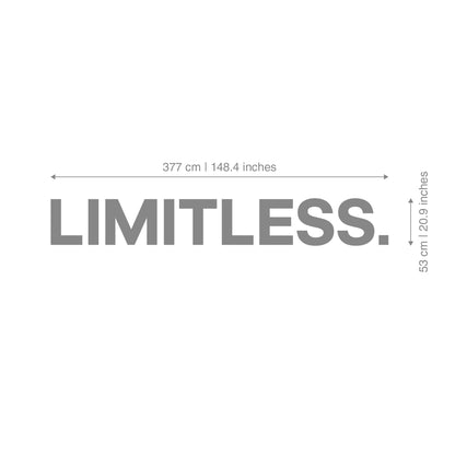 Limitless 3D Gym Wall Art