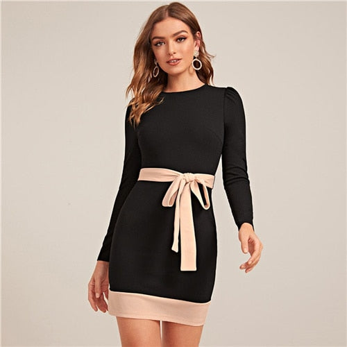 Two Tone Elegant Bodycon Dress With Belt Women Spring Long Sleeve Zipper Back High Waist Office Lady Short Pencil Dresses