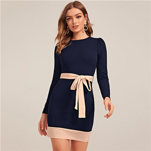 Two Tone Elegant Bodycon Dress With Belt Women Spring Long Sleeve Zipper Back High Waist Office Lady Short Pencil Dresses