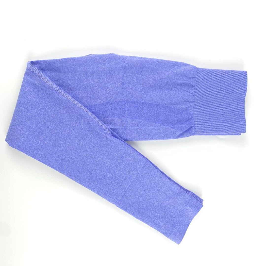 Seamless high waist leggings sportswear gym woman yoga Pants fitness women fitness running pants Sports Running Tights 2020